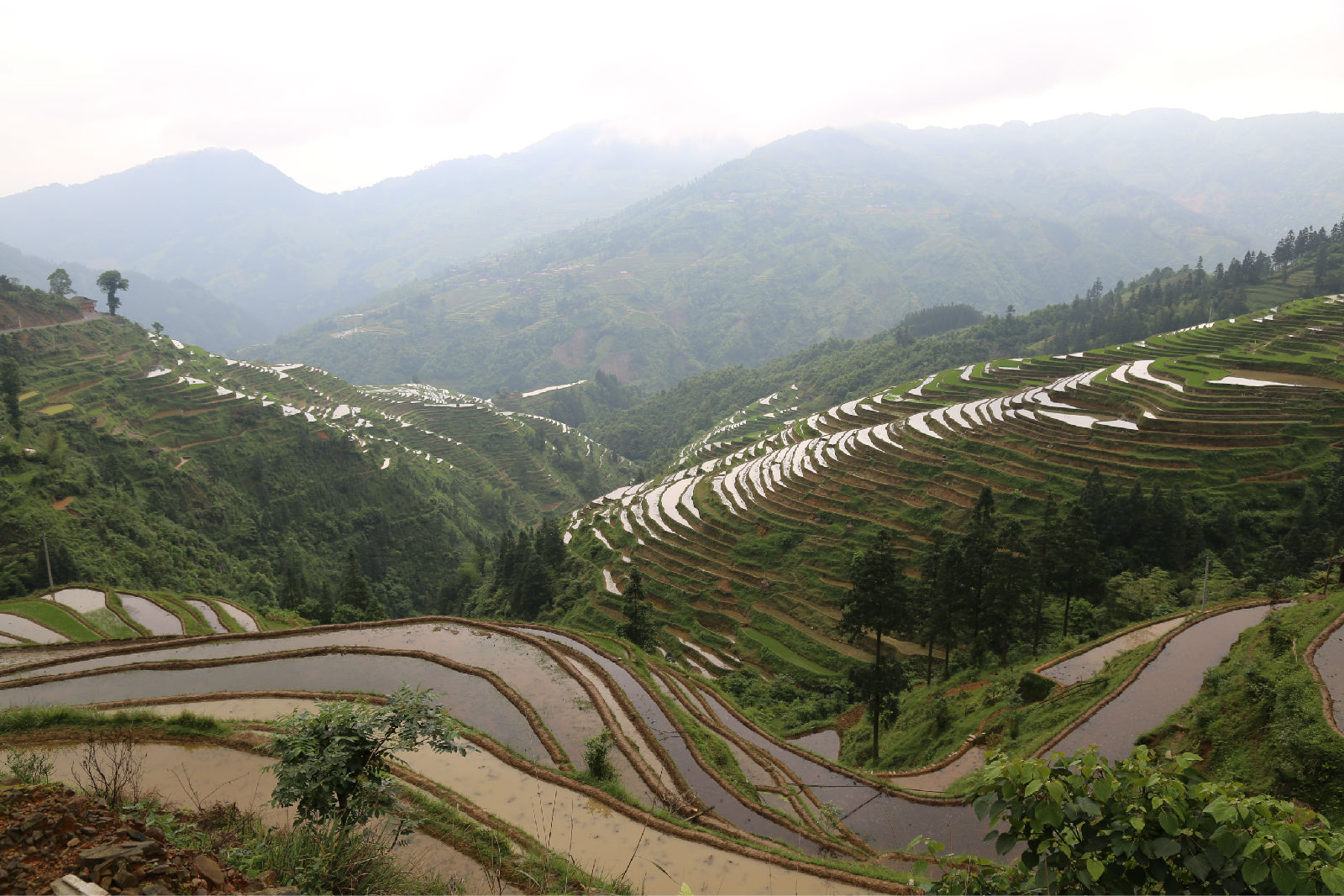 除了黔東南加榜梯田,黔南都勻斗篷山景區,非常優美的知名旅遊景點原來