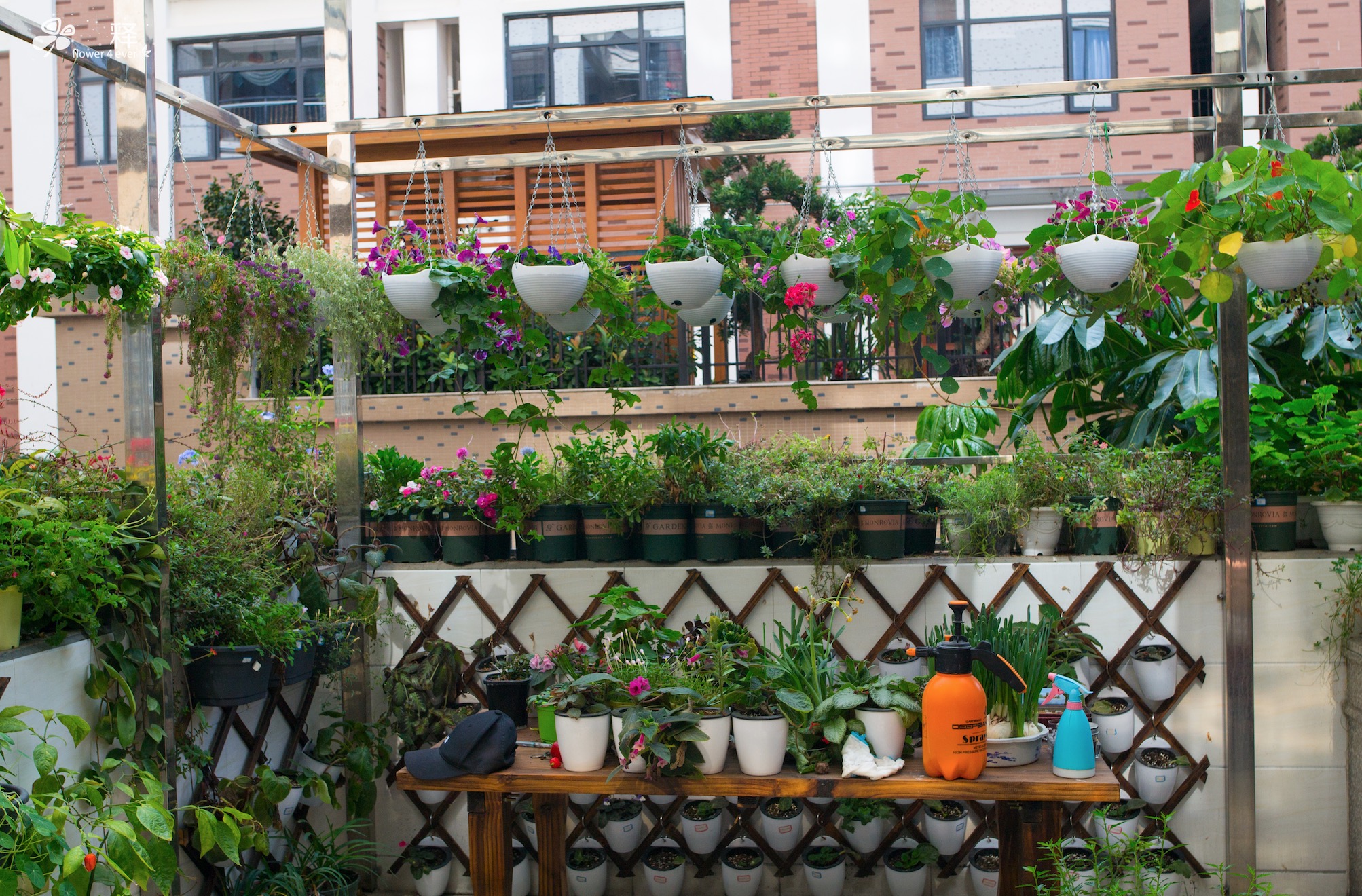 最适合养花的3种房子,一挂出来就被人买了,出现1套消灭1套