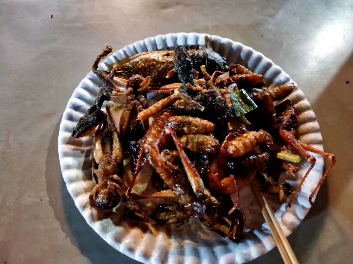 泰国重口味美食烤壁虎,海鲜特便宜,去泰国千万别错过多点海鲜!