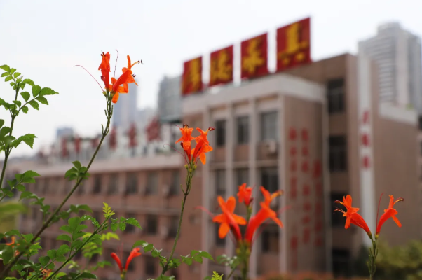 厦门初三年定于4月20日开学,厦门十一中美景已经准备好邂逅师生