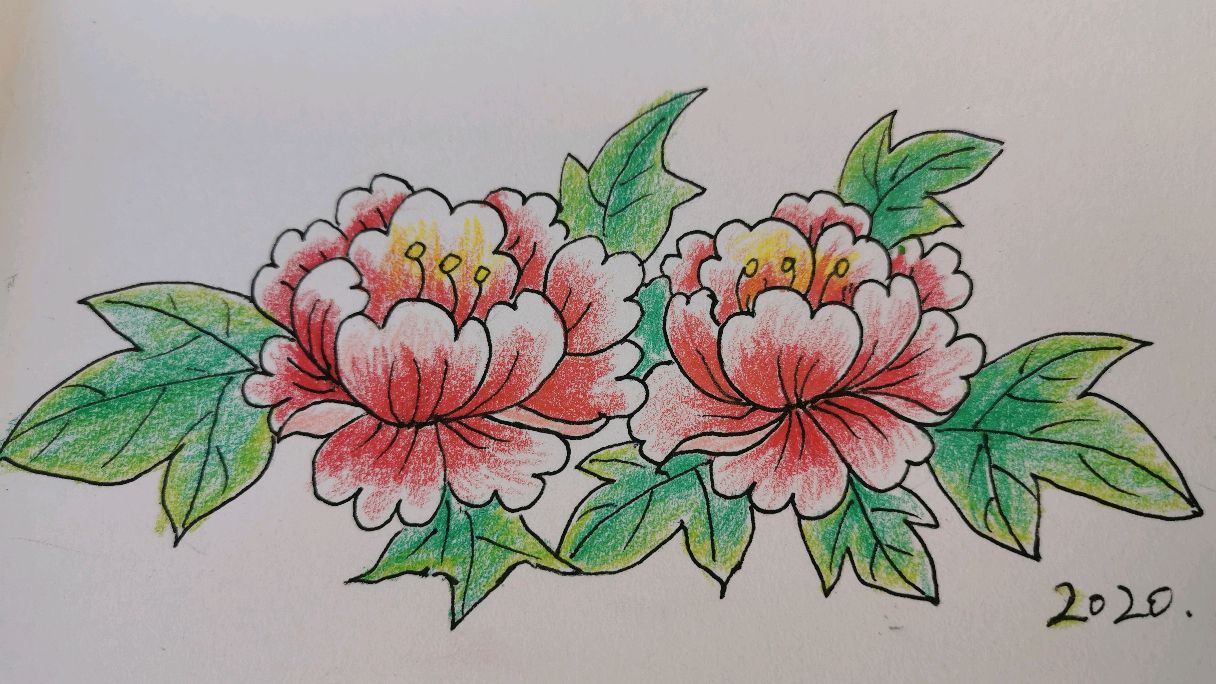 简笔画——牡丹花,一看就会