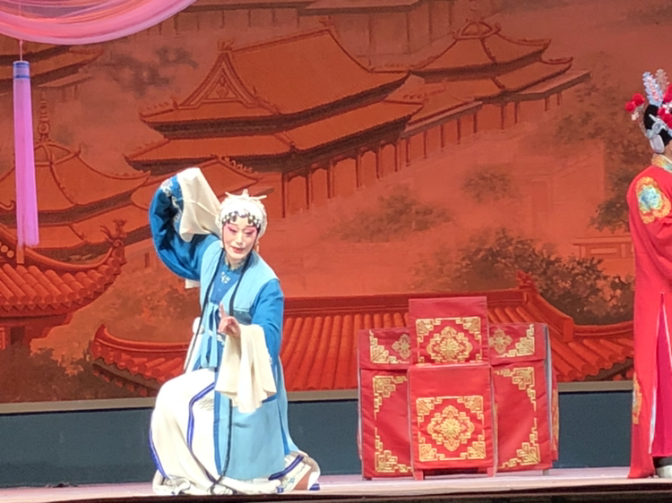 豫剧包青天现场美图