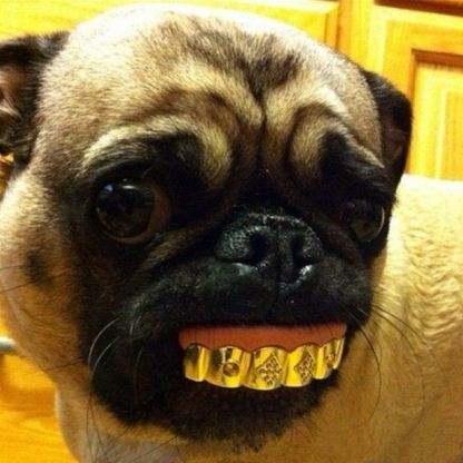 慈禧太后去世前只掉了一颗牙齿,定东陵被盗后她的假牙去了哪里