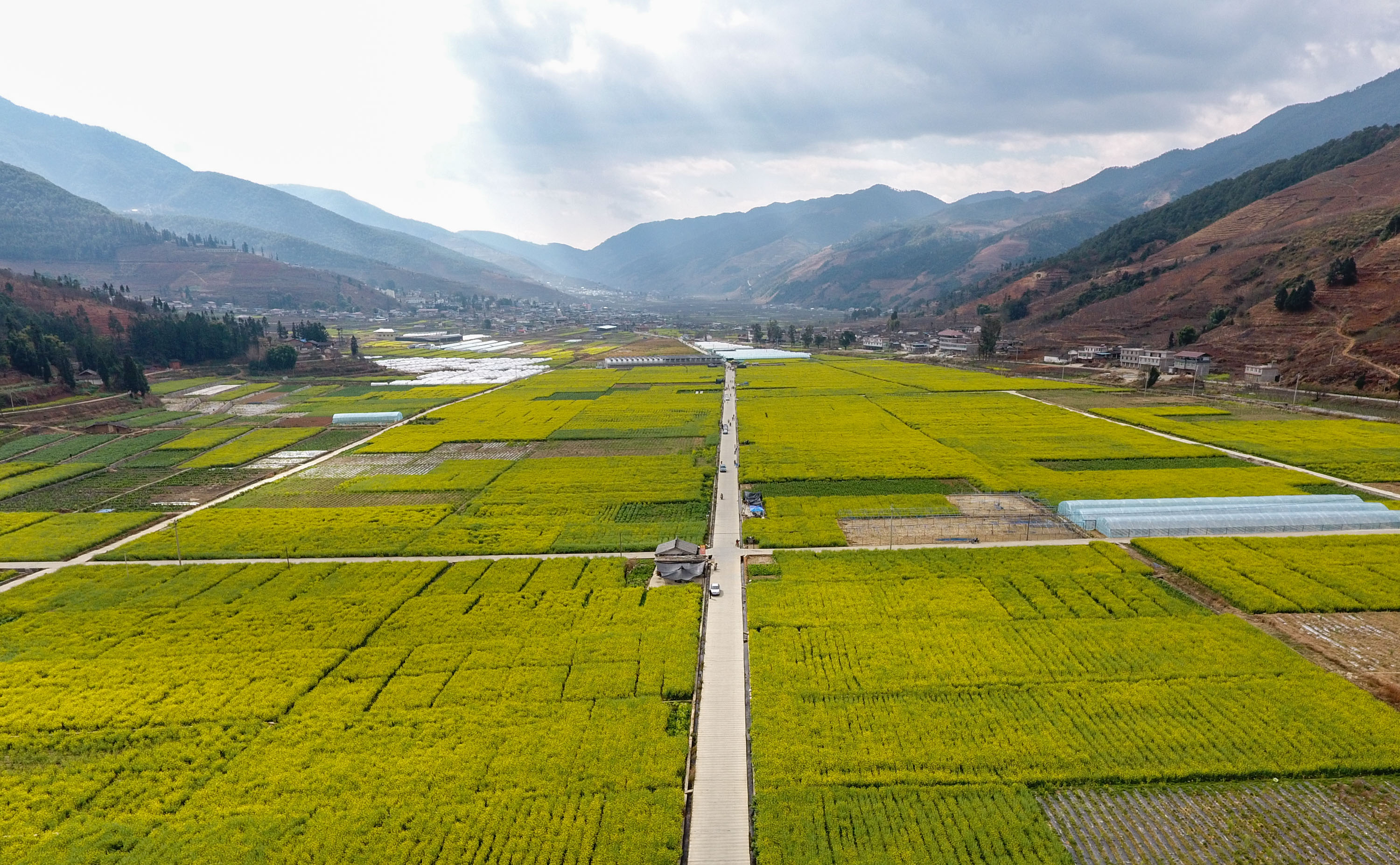 米易普威镇风景图片图片