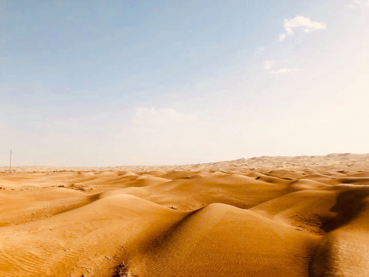 神秘而荒芜的流动沙丘