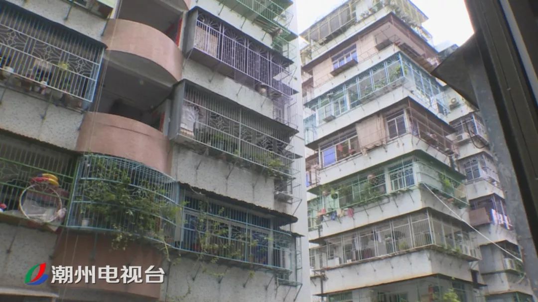 走马市区可以发现,除一些新建小区的住户安装的是隐形防盗网外,老旧