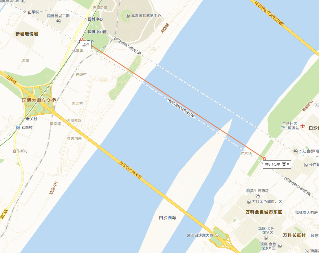 分析武汉地铁12号线在汉阳区的跨江段:附近将有三条过长江的通道