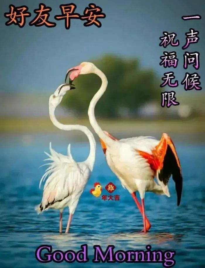 最新漂亮的早上好问候动态表情图片,正能量有哲理的早安说说!