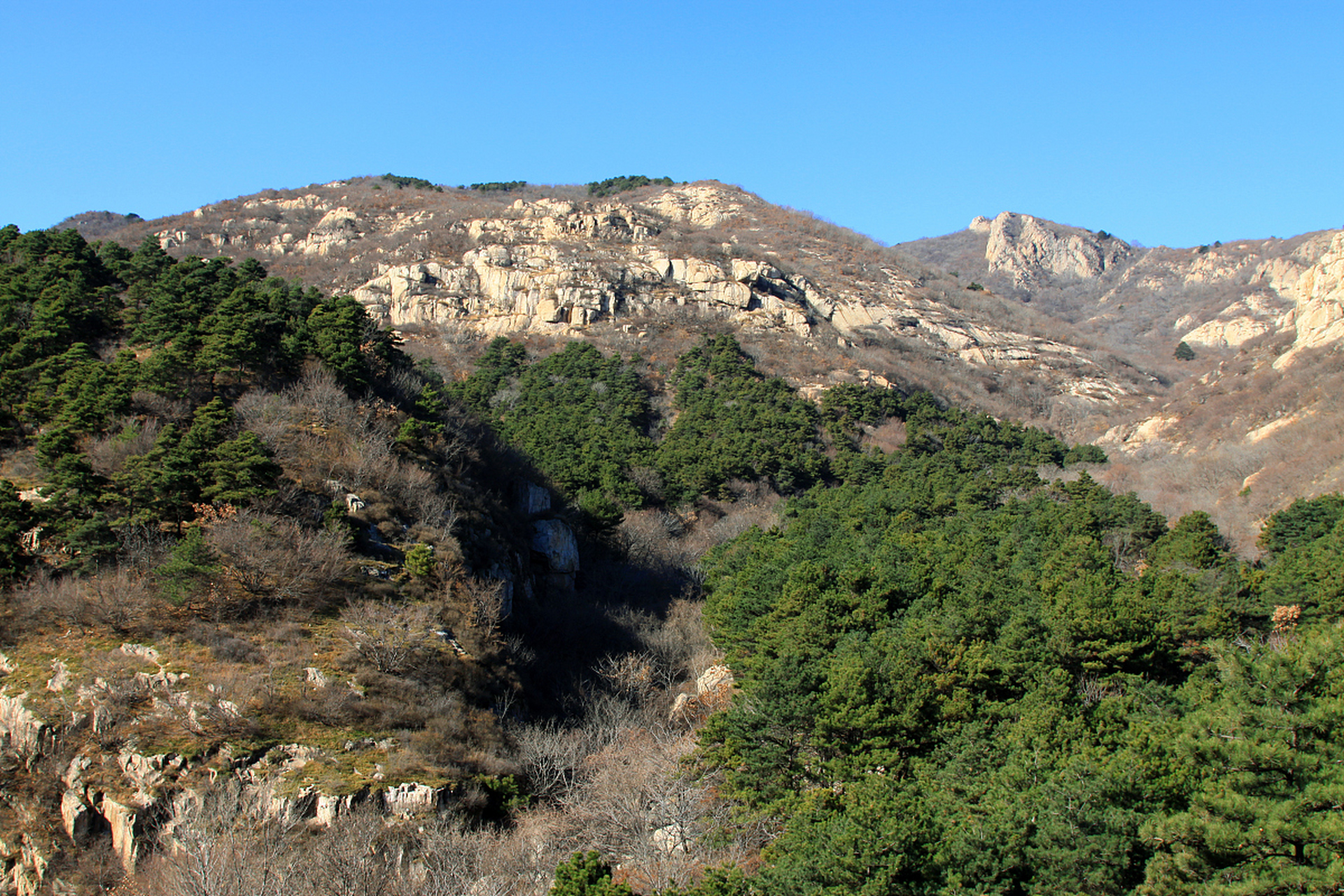如果你计划去北京的霞云岭一日游,可以参观霞云岭国家森林公园,房山石