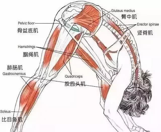 4月发文:缓解臀部紧张,美化腿部线条,试试这个瑜伽体式