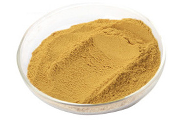 什么是虫草素提取物?