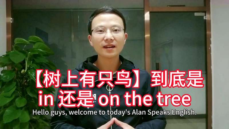 英语里「树上有只鸟」是用「in the tree」还是「on the tree」?