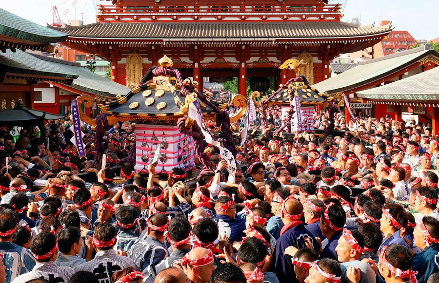 日本东京庆祝三社祭 众人着古装合抬"神舆"