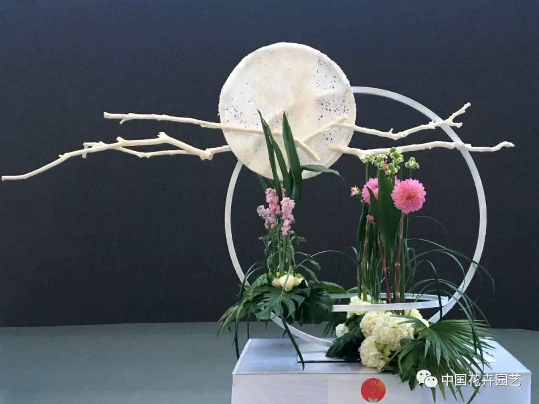 中国花卉园艺|2019世界花艺大赛神秘箱单项获奖作品展示