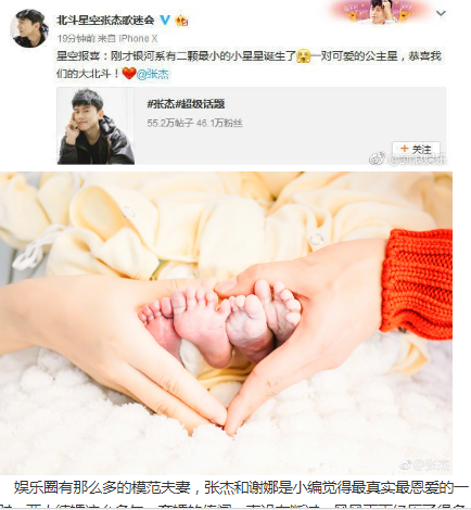 谢娜诞下一对双胞胎女儿,网友祝福,但是你们知道名字叫什么吗?