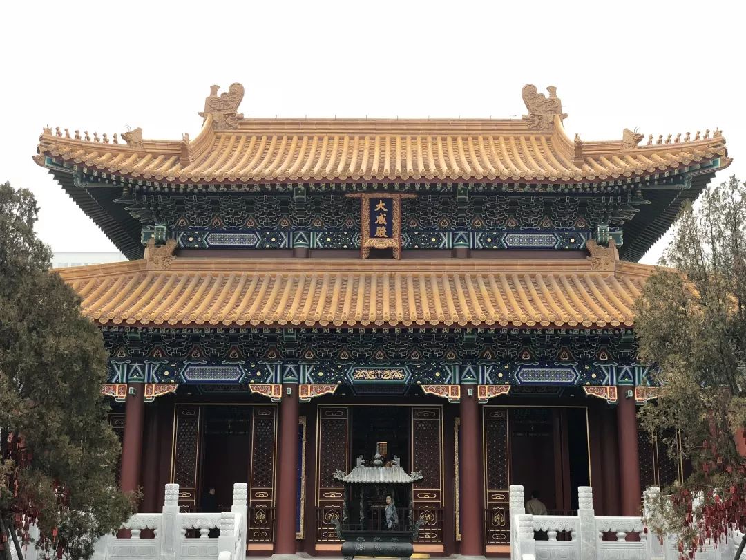 星东方总裁蔡云杰应邀赴青岛即墨古城考察 与即墨区政府就合作事宜