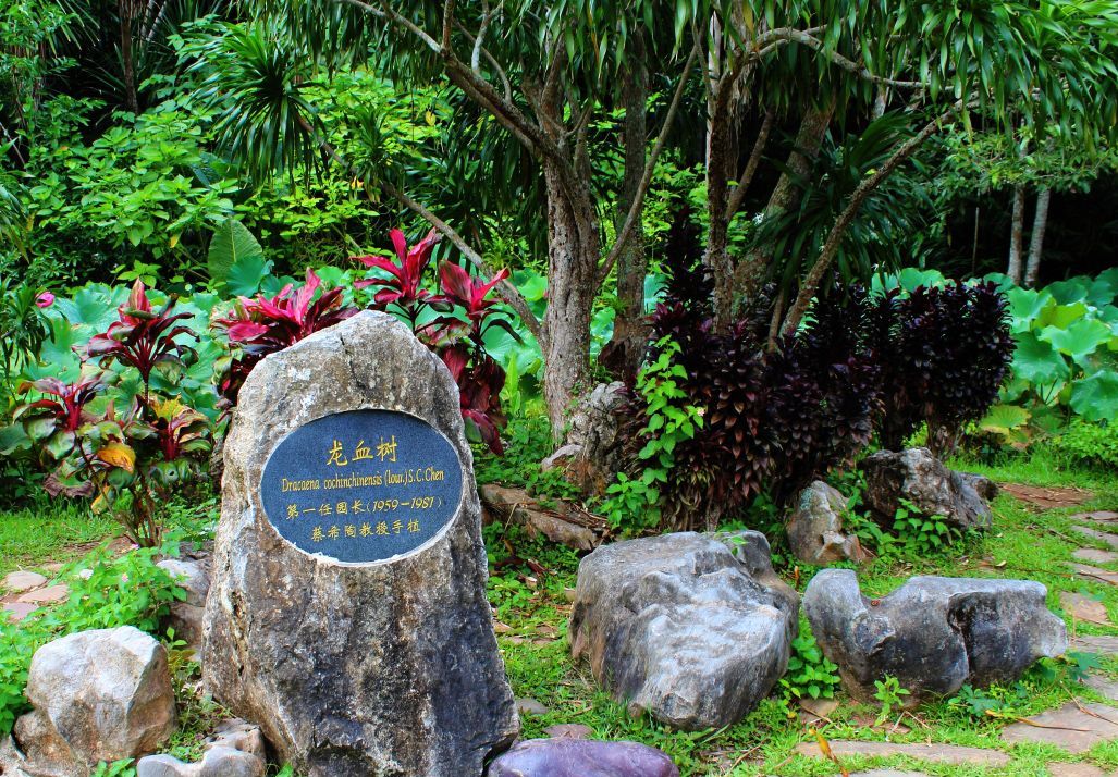 科技旅遊好去處-中科院西雙版納熱帶植物園