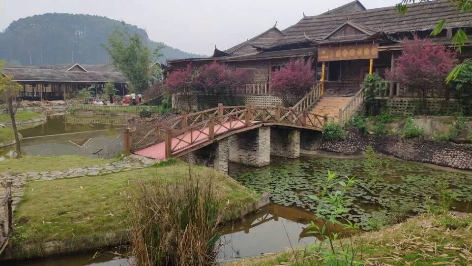 今天,南宁最大休闲农庄被拆除!赶紧扩散,别扑空了