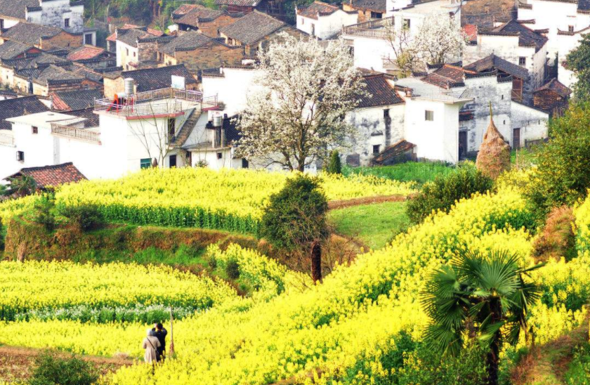 旅游:中国最美的乡村,风景美到哭,这辈子一定要去一次!