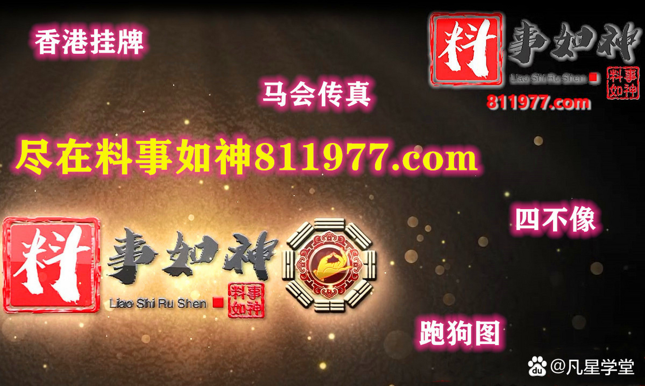 今期开什特马2019年12期