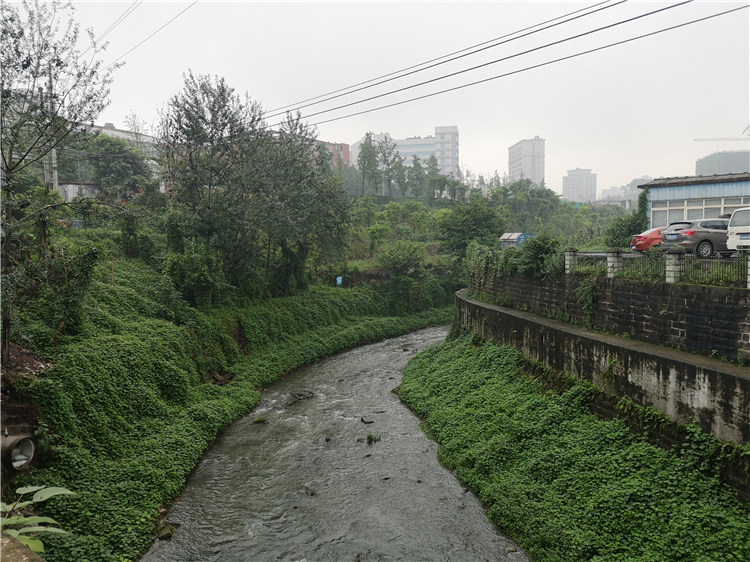 宝圣湖街道图片