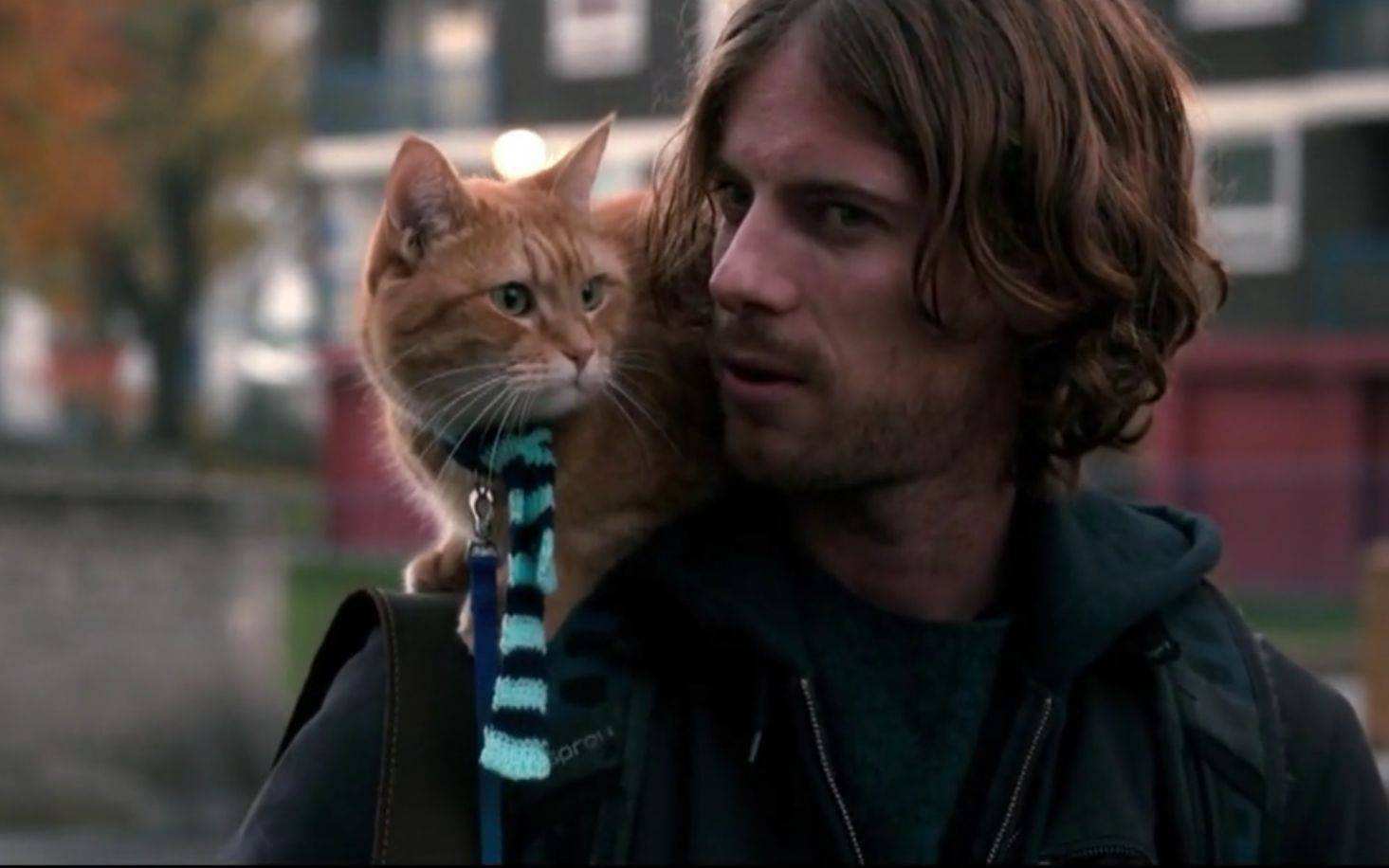 《流浪猫鲍勃》流浪小哥因为一只流浪猫开始开挂人生