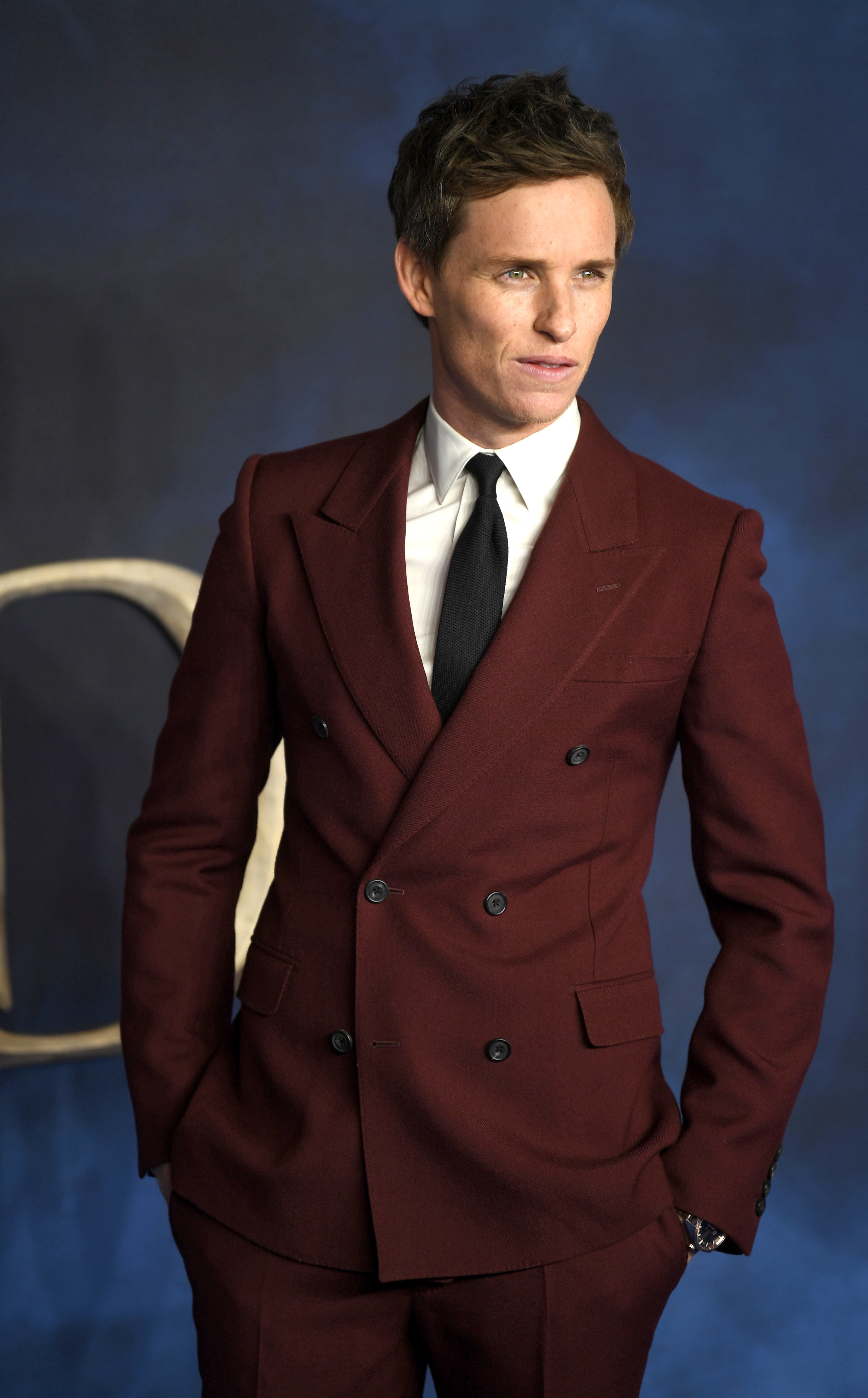 影片《神奇动物:格林沃德之罪》英国首映式