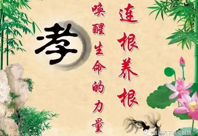 了解"慈恩天下"