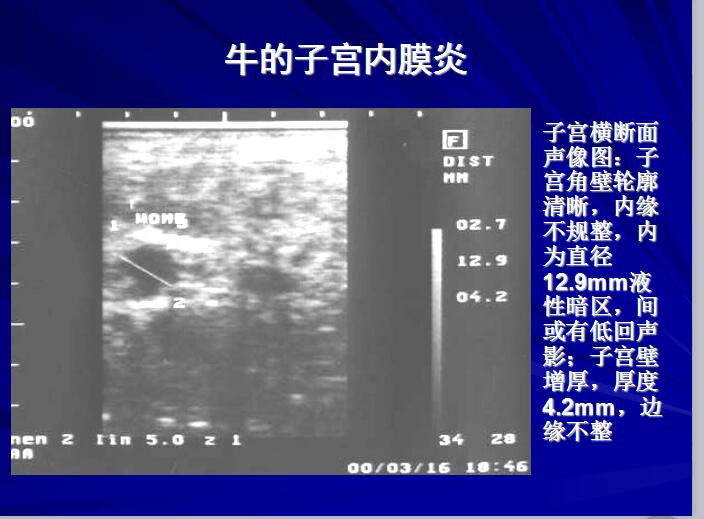 母牛的子宮疾病及卵巢疾病的診斷當前還是依靠直腸檢查的方法,在檢查