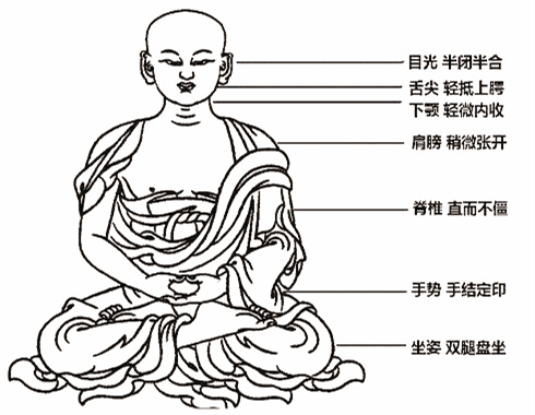佛教坐姿图解图片