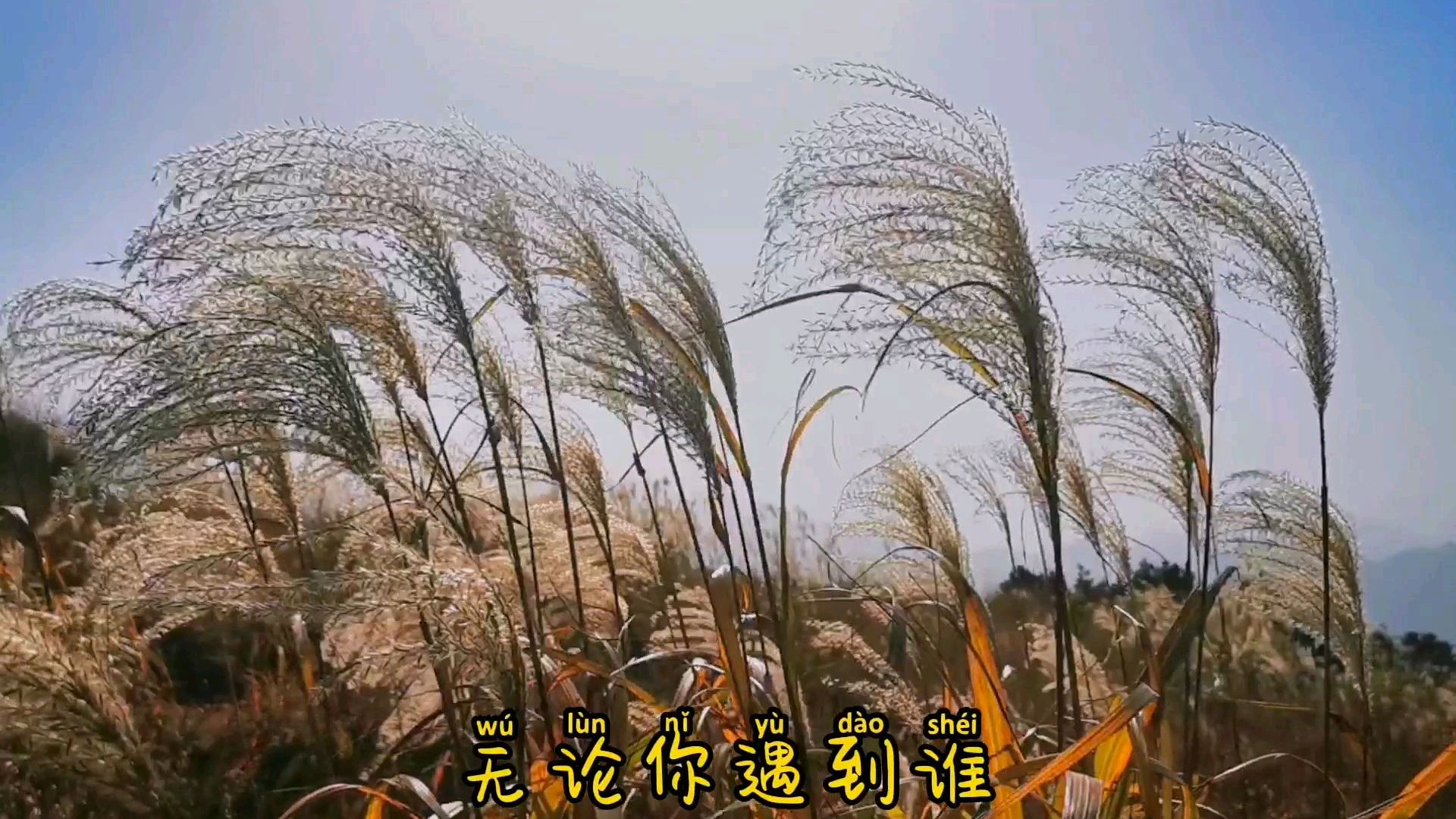《励志语录》素材 无论你遇到谁 他都是你生命中该遇到的人