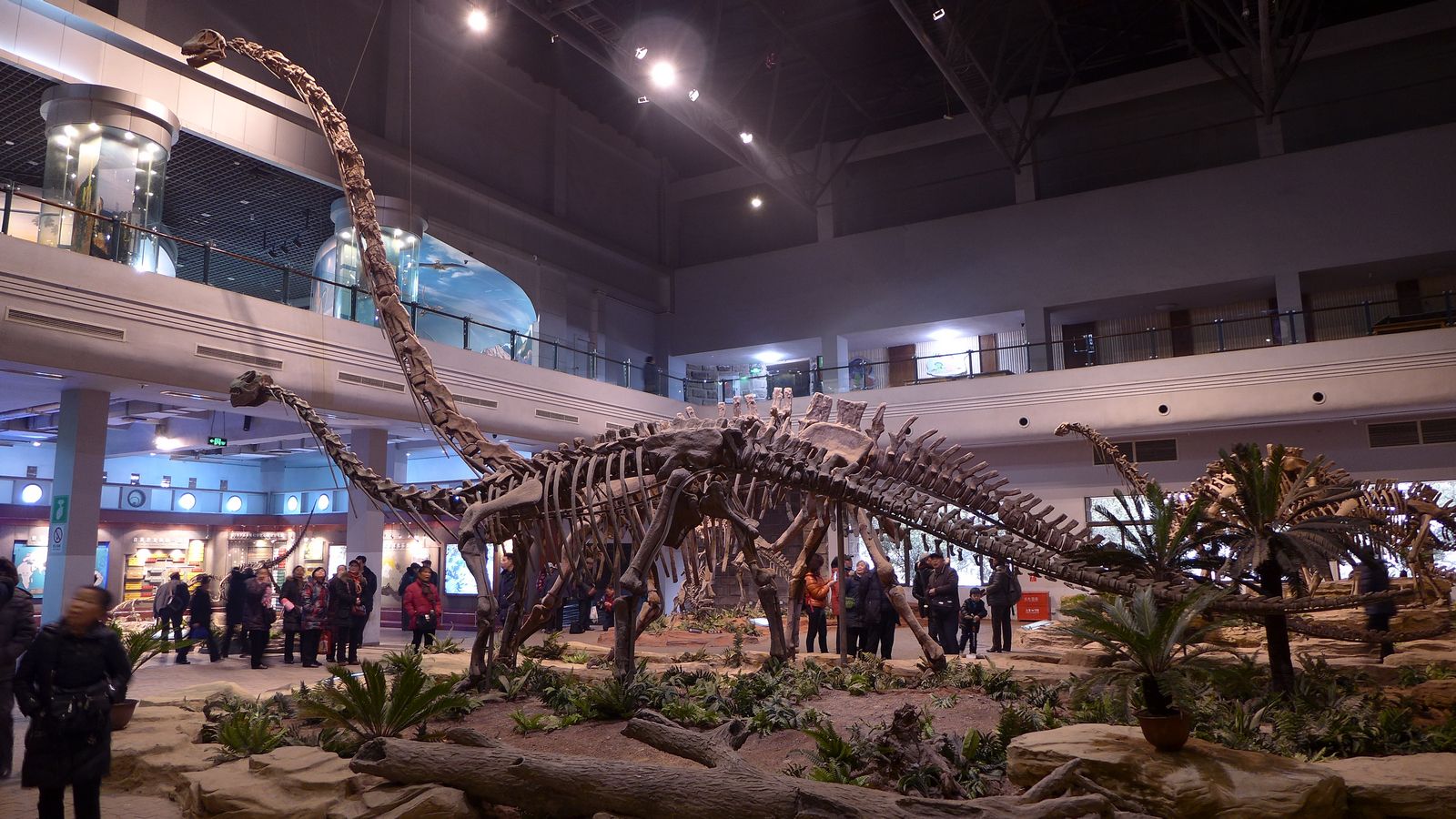 除了常州中华恐龙园国内恐龙主题乐园公园恐龙馆还有哪些