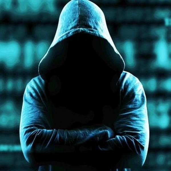 老人与海还是大白鲨?美国一男子钓鱼钓到大白鲨