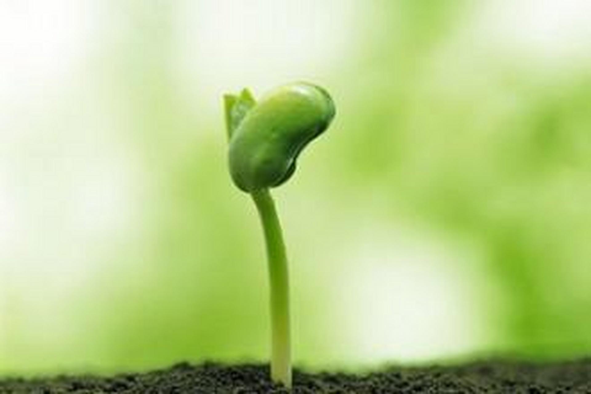 我的年度书单#【好书推荐】《热爱生命》是19世纪末20世纪初美国小说