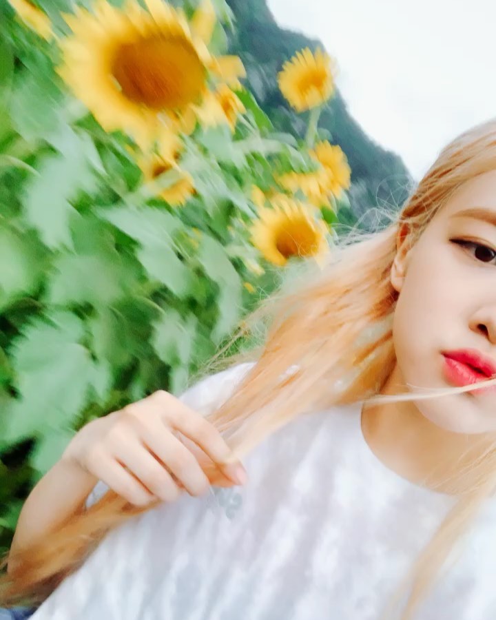 "人比花娇"肉丝,置身向日葵地里与大自然无比亲近