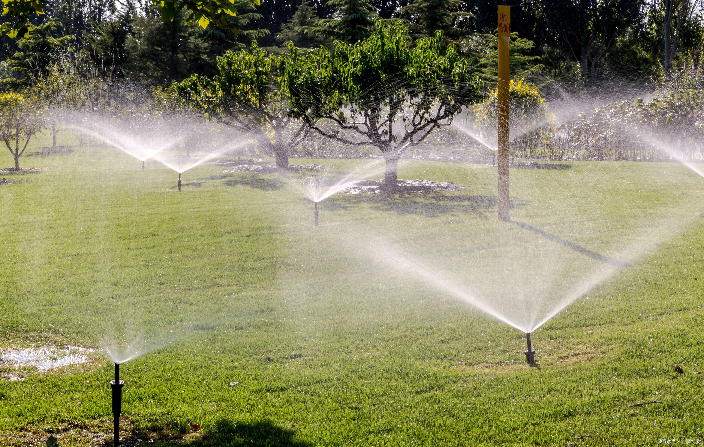 滴灌- 热门商品专区