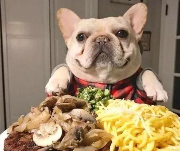 为什么很多人都说"狗来富"?有这4种说法,你家来过狗吗?