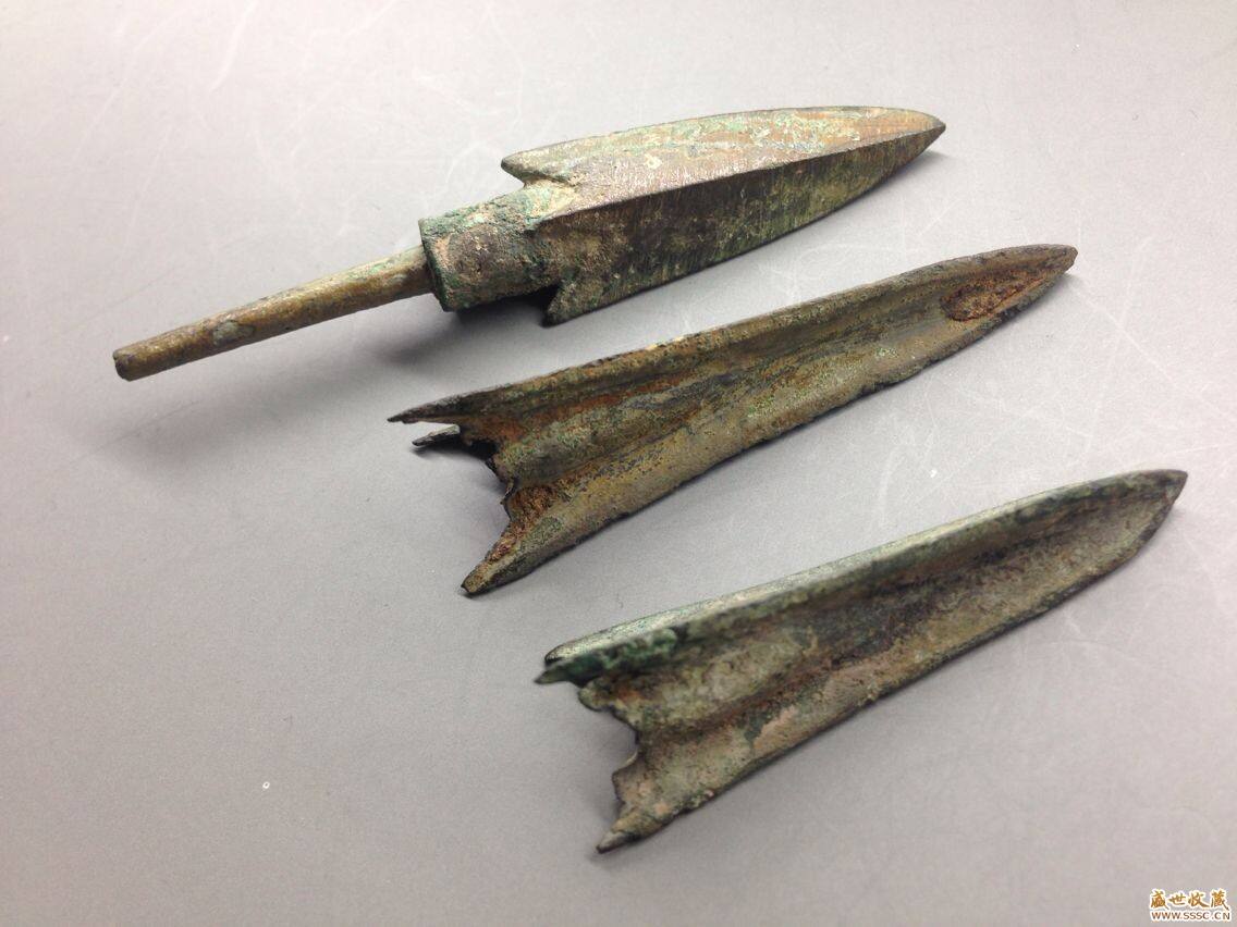 人类从何时开始用毒药狩猎?