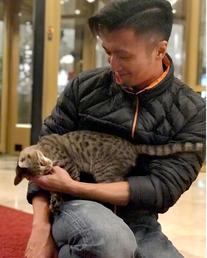 谢霆锋清晨玩猫低调似路人?这个38岁的帅气男神回忆中都是故事