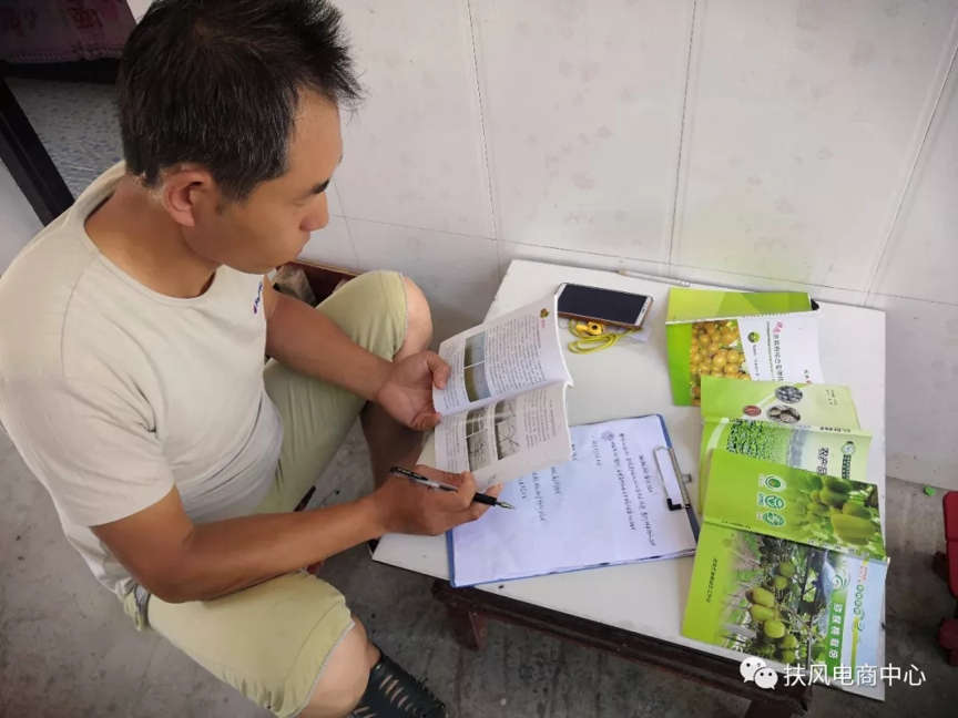 扶风县凤鸣村贫困户于文辉的电商致富路