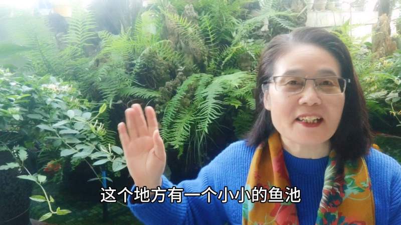 张耒一首诗中的鱼虾，给李老师深深的启发，懂得了这样的人生哲理,情感,人生导师,好看视频