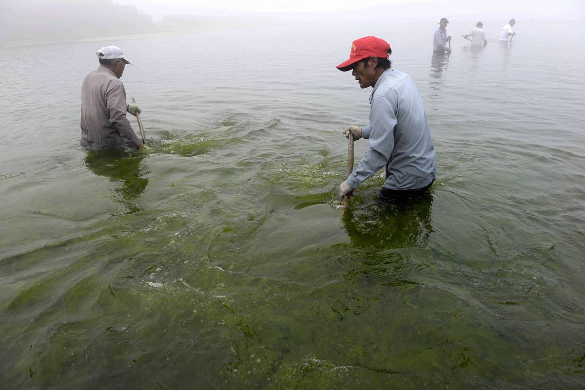 如此严重的水污染,竟然还有相关人员掉以轻心?真的是让人难以置信啊!