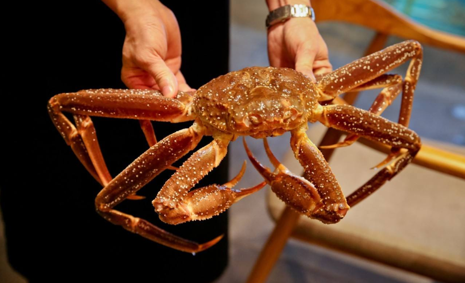 黄油蟹在中国有"蟹中之王"的美誉,野生黄油蟹非常珍贵,属于膏蟹的变种