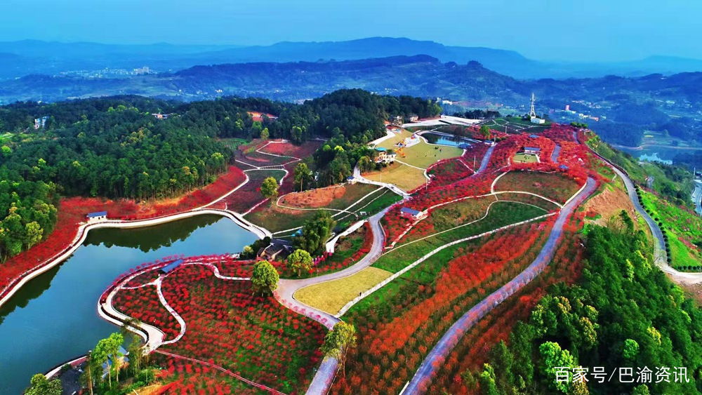 重庆巴南 baijiahao.baidu.com