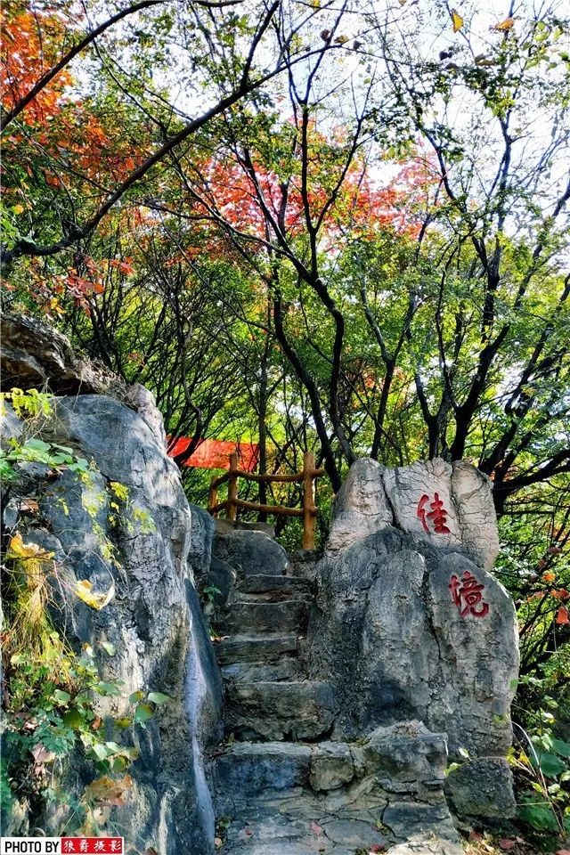 红叶已扑来!快来淄博云明山遇见"醉美"秋天