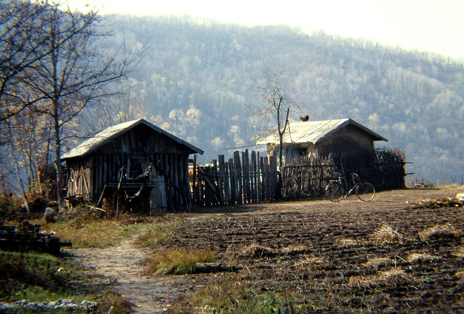 姚康和林娜是这宁静村庄的夫妻,他们的爱情故事如一曲悠扬的小夜曲,渐