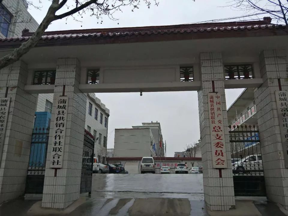 蒲城县罕井供销社以租赁的方式变卖国有资产