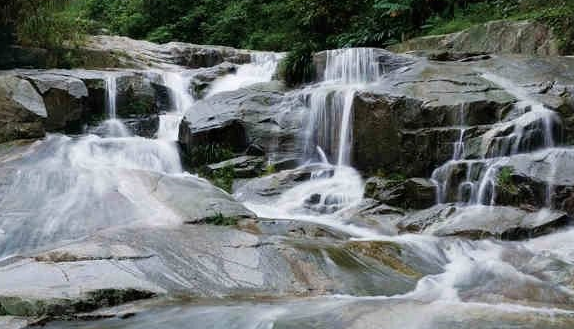 除了对自然景观的开发,近年来,大沙镇因地制宜,促进当地茶产业迅猛