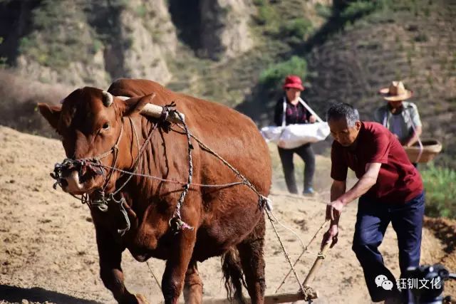 反邪教榆林微电影《春寒》隆重上映!陕西首部官方出品!