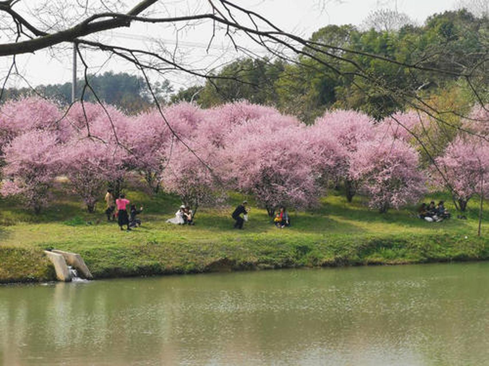 长沙园林生态园位于长沙市开福区捞刀河镇罗汉庄村的捞刀河畔,是集